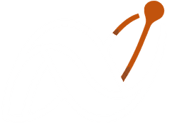 Netniks Logo